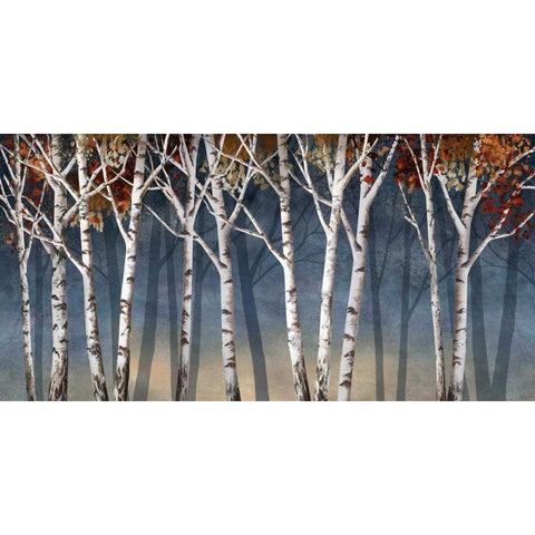 Birch Shadows Black Modern Wood Framed Art Print with Double Matting by Knutsen, Conrad