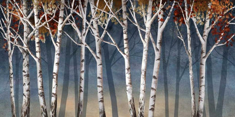 Birch Shadows Black Ornate Wood Framed Art Print with Double Matting by Knutsen, Conrad