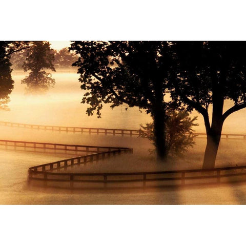 Kentucky Morning White Modern Wood Framed Art Print by Delimont, Danita