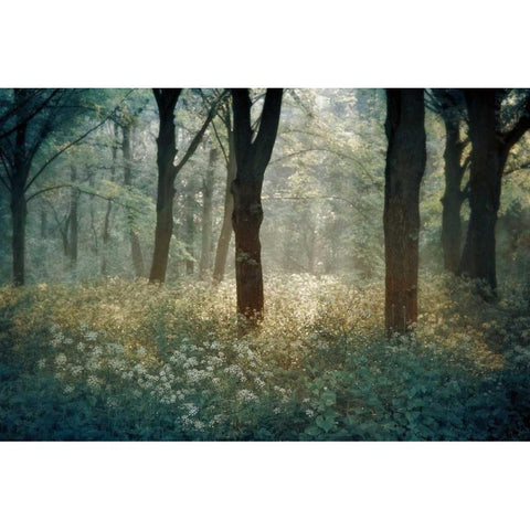 Foret De Gold Ornate Wood Framed Art Print with Double Matting by Van de Goor, Lars