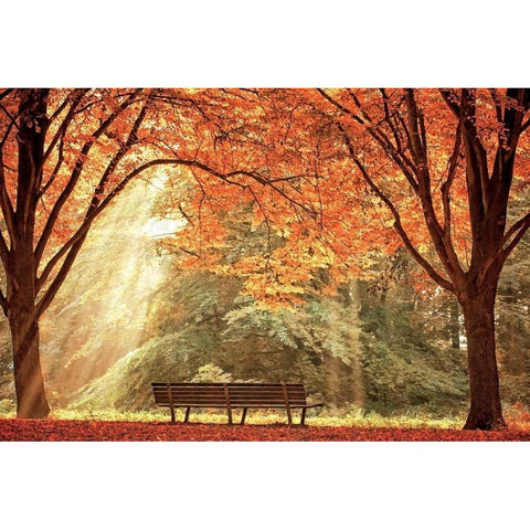 Sun Never Set Gold Ornate Wood Framed Art Print with Double Matting by Van de Goor, Lars