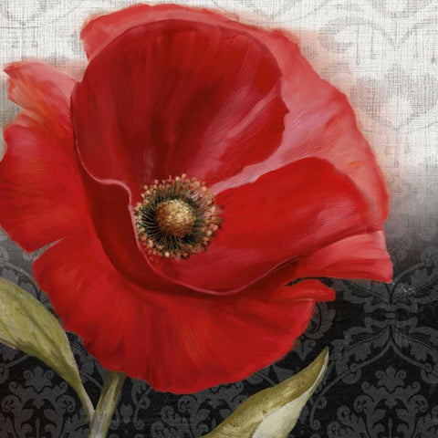 Poppy Perfection I White Modern Wood Framed Art Print with Double Matting by Knutsen, Conrad