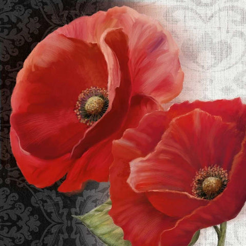 Poppy Perfection II White Modern Wood Framed Art Print by Knutsen, Conrad