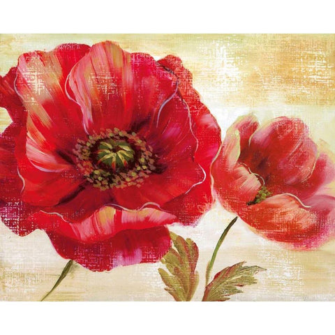 Passion For Poppies I Black Modern Wood Framed Art Print by Nan