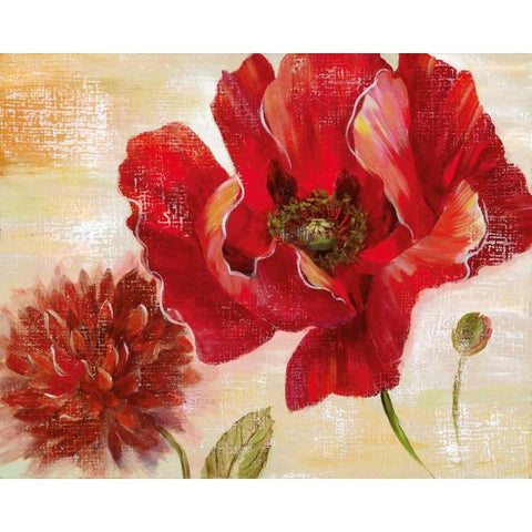 Passion For Poppies II Black Modern Wood Framed Art Print with Double Matting by Nan