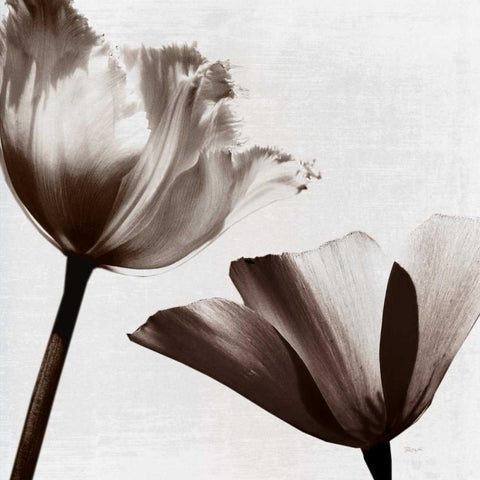 Takes Two II Black Modern Wood Framed Art Print with Double Matting by Craven, Katrina