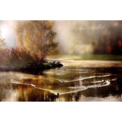 Morning Solace Black Modern Wood Framed Art Print with Double Matting by Weisz, Irene