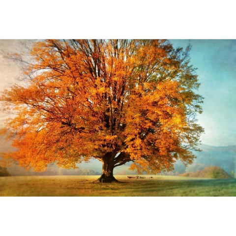 Autumns Passion Black Modern Wood Framed Art Print by Weisz, Irene