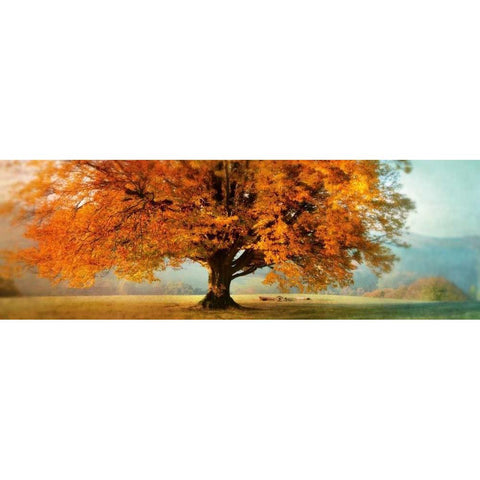 Autumn Emotion Gold Ornate Wood Framed Art Print with Double Matting by Weisz, Irene