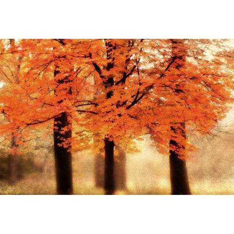 Three Trees Gold Ornate Wood Framed Art Print with Double Matting by Weisz, Irene