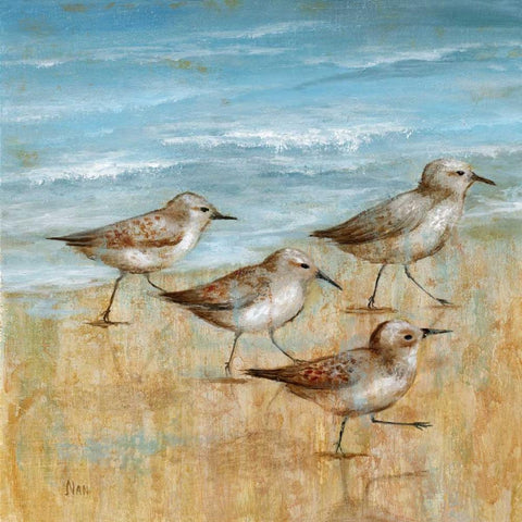 Sandpipers I White Modern Wood Framed Art Print with Double Matting by Nan
