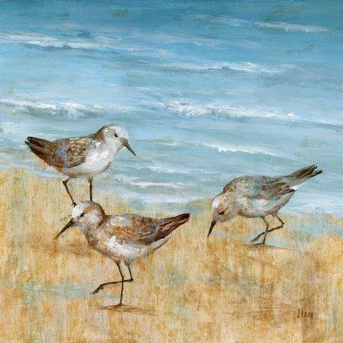 Sandpipers II Black Modern Wood Framed Art Print with Double Matting by Nan