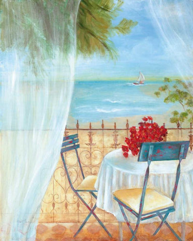 Veranda Vista II Black Ornate Wood Framed Art Print with Double Matting by Tava Studios