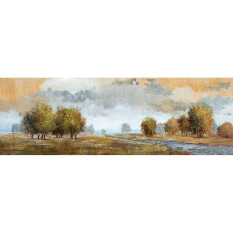 Meadow Vista I Black Modern Wood Framed Art Print with Double Matting by Nan