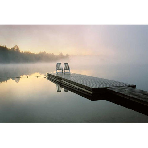 Algonquin Provincial Park White Modern Wood Framed Art Print by Delimont, Danita