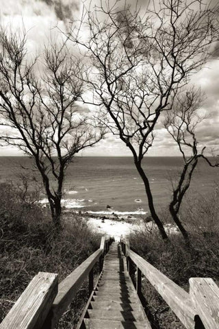 Cutchogue Horton Point Lighthouse Stairs Black Ornate Wood Framed Art Print with Double Matting by Delimont, Danita