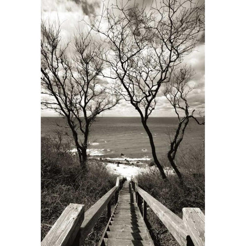 Cutchogue Horton Point Lighthouse Stairs Black Modern Wood Framed Art Print with Double Matting by Delimont, Danita