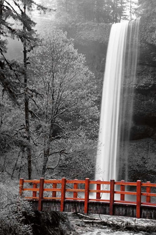 Silver Falls Black Ornate Wood Framed Art Print with Double Matting by Delimont, Danita