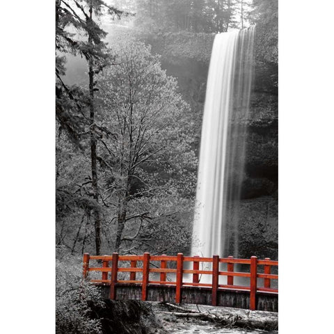 Silver Falls White Modern Wood Framed Art Print by Delimont, Danita