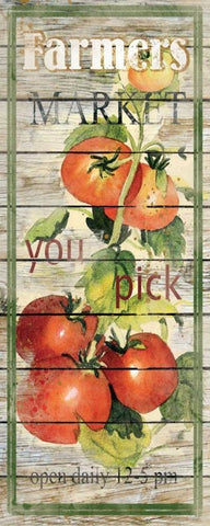 Tomatoes White Modern Wood Framed Art Print with Double Matting by Robinson, Carol