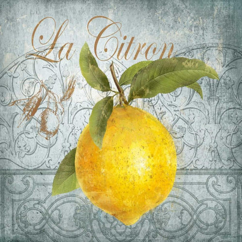 La Citron White Modern Wood Framed Art Print with Double Matting by Knutsen, Conrad