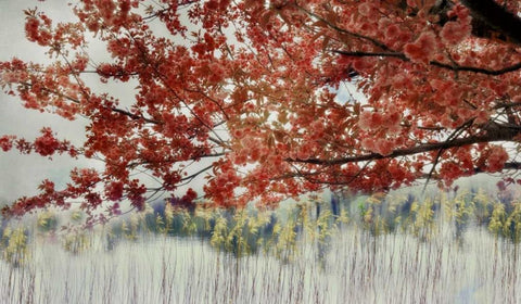 Sakura in the Lake II Black Ornate Wood Framed Art Print with Double Matting by Weisz, Irene
