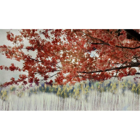 Sakura in the Lake II White Modern Wood Framed Art Print by Weisz, Irene
