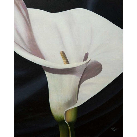 Black Tie Lily Black Modern Wood Framed Art Print with Double Matting by Macoce, Ellen