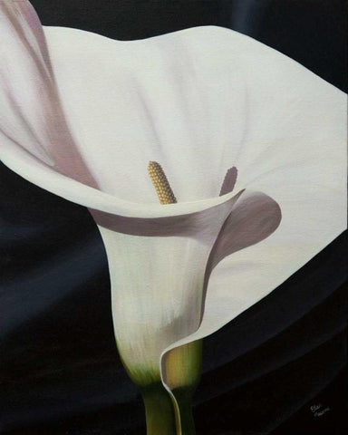 Black Tie Lily Black Ornate Wood Framed Art Print with Double Matting by Macoce, Ellen