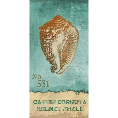 Helmet Shell Black Modern Wood Framed Art Print by Knutsen, Conrad