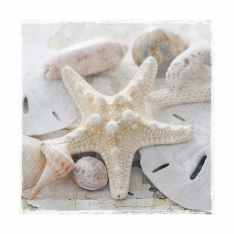 Sanibel I White Modern Wood Framed Art Print by Jackson, Susan