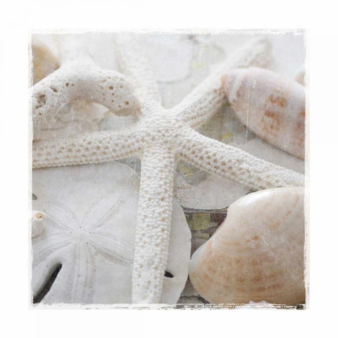 Sanibel II White Modern Wood Framed Art Print by Jackson, Susan