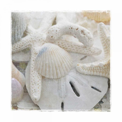 Sanibel III White Modern Wood Framed Art Print by Jackson, Susan