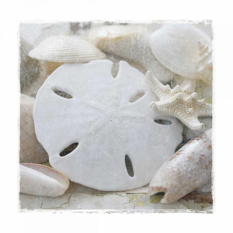 Sanibel IV White Modern Wood Framed Art Print with Double Matting by Jackson, Susan