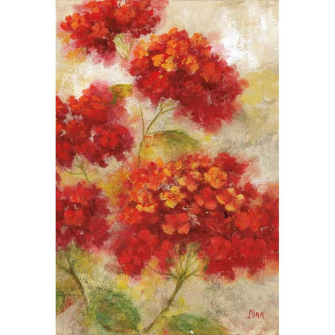 Red Floral I Black Modern Wood Framed Art Print with Double Matting by Nan