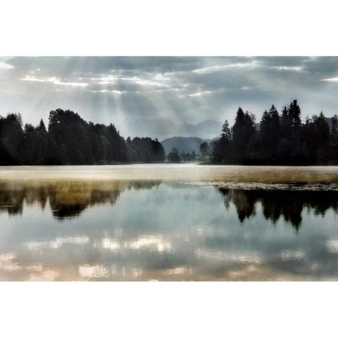 Morning Bliss I Black Modern Wood Framed Art Print by Weisz, Irene