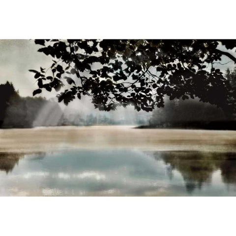 Morning Bliss II Gold Ornate Wood Framed Art Print with Double Matting by Weisz, Irene