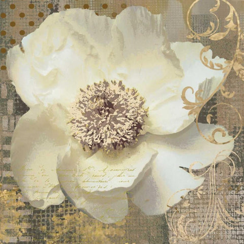 White Poppy Shimmer II Gold Ornate Wood Framed Art Print with Double Matting by Nan