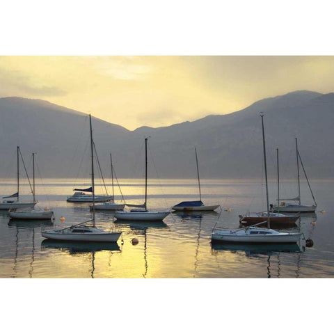 Lago di Garda Black Modern Wood Framed Art Print by Delimont, Danita