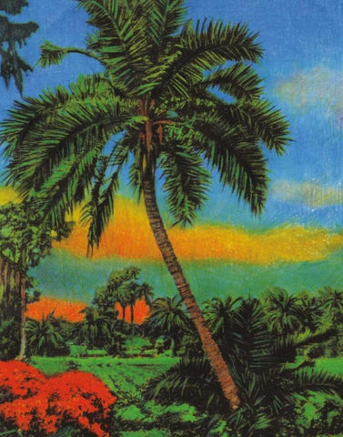 Tropical Sunset Black Ornate Wood Framed Art Print with Double Matting by Pattinian, Merri