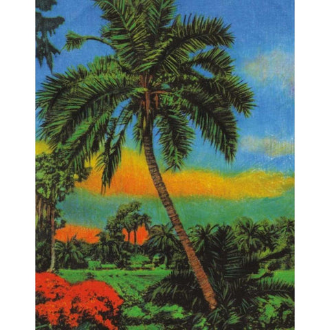 Tropical Sunset Black Modern Wood Framed Art Print by Pattinian, Merri