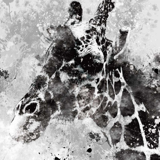 Image Only