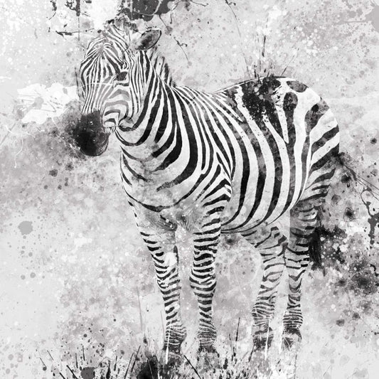 Image Only