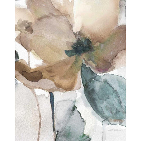 Watercolor Poppy I White Modern Wood Framed Art Print by Robinson, Carol