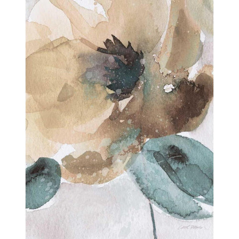 Watercolor Poppy II Black Modern Wood Framed Art Print with Double Matting by Robinson, Carol