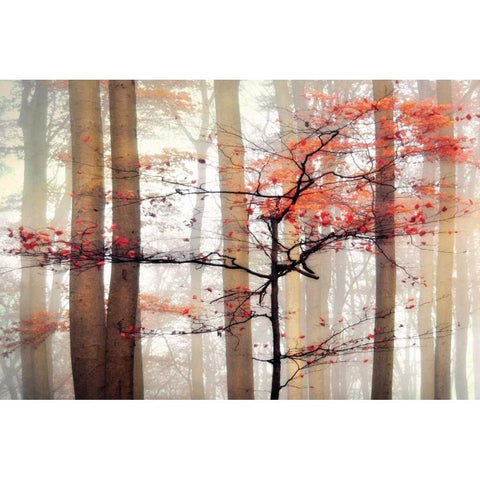 Orange Awakening Gold Ornate Wood Framed Art Print with Double Matting by Weisz, Irene