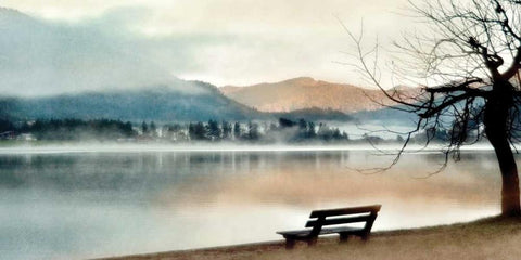 Inner Peace Black Ornate Wood Framed Art Print with Double Matting by Weisz, Irene