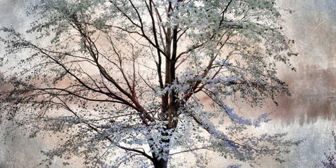 Dreamin of Spring Black Ornate Wood Framed Art Print with Double Matting by Weisz, Irene