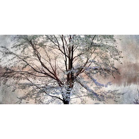 Dreamin of Spring Black Modern Wood Framed Art Print by Weisz, Irene