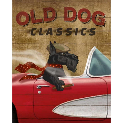 Old Dog Classics White Modern Wood Framed Art Print by Knutsen, Conrad